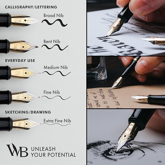 Wordsworth & Black Fountain Pen Set, 18K Gilded Fine Nib, Includes 24 Pack Ink Cartridges, Ink Refill Converter & Gift Box, Gold Finish, Calligraphy, [Silver Gold], Perfect for Men & Women