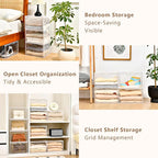 Freebat Closet Organizers and Storage, Acrylic Clear Plastic Storage Bins with Magnetic Door, 8 Pack Storage Containers for Clothes Home Organization Purse Bag Cabinet Display Closet Organizer System