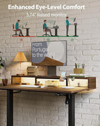 Electric Height Adjustable Standing Desk with Power Outlet and LED Light Strip, Sit to Stand, Ergonomic 48x24" Rising Desk with Memory Presets, Home Office Workstation, Computer Gaming Table, Walnut