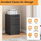Bestoo 2-Drawer File Cabinet with Lock, Metal Filing Cabinet for Home Office, Vertical Filing Storage Cabinets, Fits File Folders, Letter/Legal/F4/A4 Size, Assembly Required (Black)