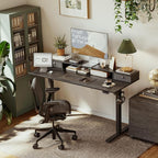 Agilestic 48 x 24 Inches Electric Standing Desk with 2 Storage Drawers, Adjustable Height Sit and Stand Computer Table with Splice Board, Black