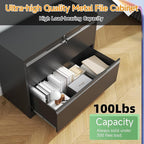 LONGLINK 2 Drawer Lateral File Cabinets with Lock,Metal Filing Cabinet for Home Office,Wide Office Storage Cabinet with Hanging Bars for A4 Legal/Letter Size(Easy Assembly)