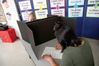 Pacon Corporation 3791 Privacy Board, 48-Inch x16-Inch, 4/PK, Black