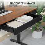 FLEXISPOT Q5 Standing Desk with Drawer, 48 x 24 Inch Electric Adjustable Height Stand Up Desk with Storage Organizer, Whole Piece Wooden Desktop for Home, Office, Computer Workstation, Dark Walnut