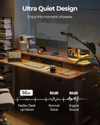FEZIBO 40 x 24 Inch Height Adjustable Electric Standing Desk with Double Drawer, Stand up Home Office Computer Desk with 4 Height-Adjustable Feets & 2 Hooks, Maple