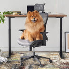 Anidaroel Office Chair Mat for Hardwood Floor, 48"x60" Under Desk Chair Rug for Rolling Chair, Anti-Slip Computer Chair Mat, Low Pile Carpets Floor Rug for Home Office Gaming Room