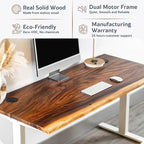 Standing Desk – Walnut Solid Wood Desk, Natural Live Edge, Adjustable Height Dual Motor, Sit Stand for Home Office (White, W60 x D27)