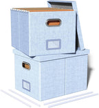 2 Pack File Storage Organizer, Filing Box, Portable File Box with Lid, Fit for Letter/Legal File Folder Storage, Document Organizer, Sky-blue