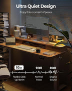 FEZIBO 40 x 24 Inch Height Adjustable Electric Standing Desk with Double Drawer, Stand up Home Office Computer Desk with 4 Height-Adjustable Feets & 2 Hooks, Light Rustic