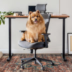Anidaroel 46"x72" Large Chair Mat for Hardwood Floor/Tile Floor, Desk Chair Mat for Hard Floors, Under Desk Rug Protector for Rolling Chair, Low Pile Carpet Floor Mat for Home Office
