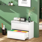 Greenvelly 2 Drawer File Cabinet, Metal Filing Cabinet with Lock, White Lateral File Cabinet for Home Office, Locking File Cabinet for Letter/Legal/F4/A4 Size Hanging Files, Easy Assembly