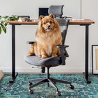 Anidaroel 46"x72" Chair Mat for Hardwood Floor/Tile Floor, Desk Chair Mat for Hard Floors, Under Desk Rug Protector for Rolling Chair, Computer Gaming Chair Mat, Low Pile Carpet Floor Mat