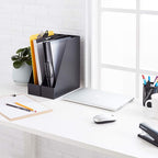 Amazon Basics Plastic Desk Organizer - Vertical Magazine and File Holder, Black, 12-Pack