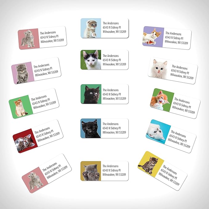 Customized Personalized Address Labels - Made in The USA by Kenco (500 Labels, Kittens)