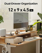 FEZIBO 40 x 24 Inch Height Adjustable Electric Standing Desk with Double Drawer, Stand up Home Office Computer Desk with 4 Height-Adjustable Feets & 2 Hooks, Maple