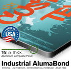 Custom Sign, Custom Street Sign, 11 Font Colors, 13 Font Styles, 4 Hole Options, 22 Sizes, 10x14 Inches, Rust Free DiBound, Fade Resistant, Made in USA by My Sign Center (Graffiti)