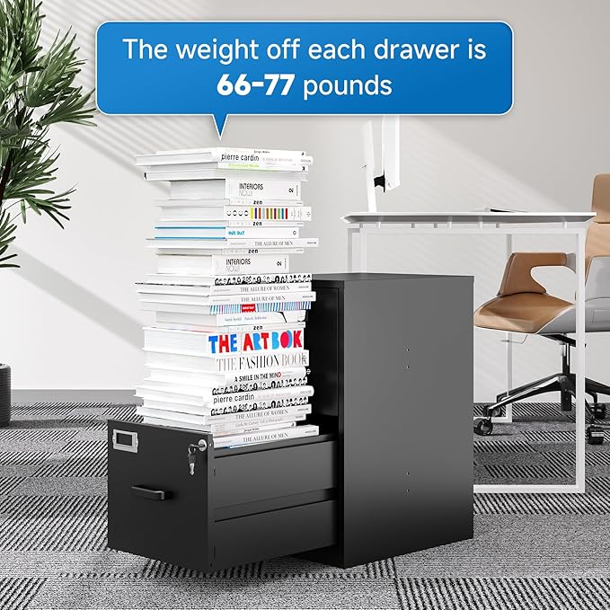 2 Drawer File Cabinet with Lock Vertical Filing Storage Cabinet Office Home Steel Vertical File Cabinets for Letter Size File Cabinet Locked,Assembly Required