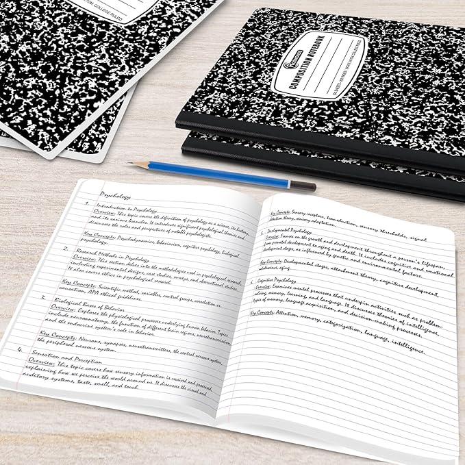Rosmonde 2000 Pack (Pallet) Composition Notebooks Bulk, College Ruled, Full Pallet of Notebooks, 200 Pages (100 Sheets), 9-3/4 x 7-1/2, Bulk Notebooks for School, College & Office, 4-7 Days Transit
