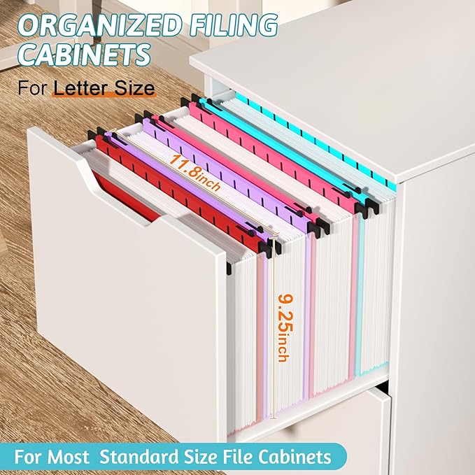 Nordun Extra Capacity Plastic Hanging File Folder Letter Size,12 Pack Reinforced Hang Folders with Heavy Duty 2 Inch Expansion, Durable Hanging Organizer Designed for Bulky Files, Assorted Colors
