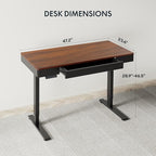 FLEXISPOT Q5 Standing Desk with Drawer, 48 x 24 Inch Electric Adjustable Height Stand Up Desk with Storage Organizer, Whole Piece Wooden Desktop for Home, Office, Computer Workstation, Dark Walnut