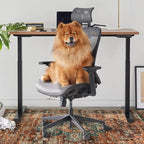 Anidaroel 48"x60" Chair Mat for Hardwood Floor/Tile Floor, Desk Chair Mat for Hard Floors, Under Desk Rug Protector for Rolling Chair, Computer Gaming Chair Mats, Low Pile Carpet Floor Mat