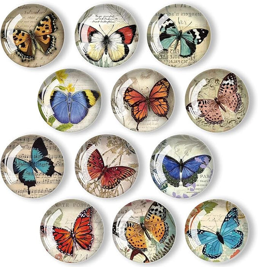 12Pcs Glass Refrigerator Magnet Fridge Sticker,Butterfly Fridge Magnets Decoration for Crafts,Strong Fridge Magnets for Kitchen, School,Office Whiteboard, Cabinet and Dishwasher