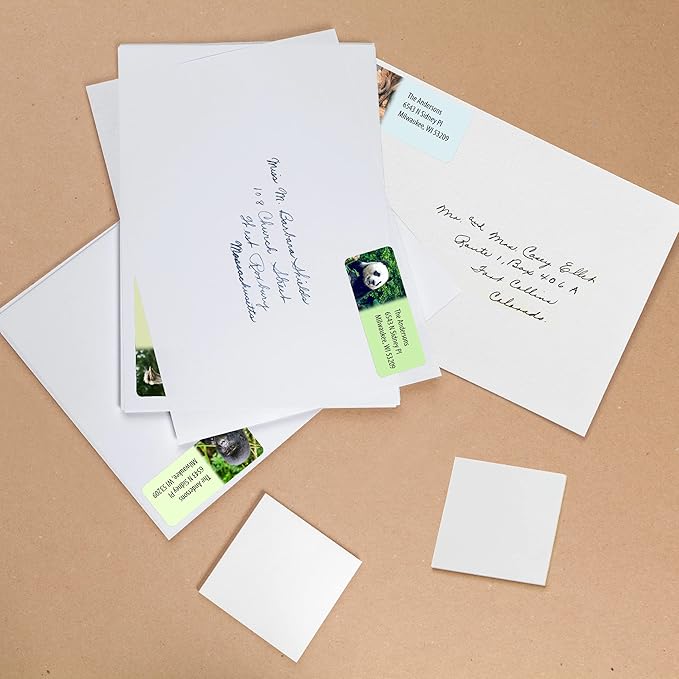 Customized Personalized Address Labels - Made in The USA by Kenco (Wild Animals, 250 Labels)