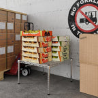 Regal Altair 24" Deep x 24" Wide x 14" Height Wire Shelving Kit | 1-Tier | NSF Commercial Storage Rack Unit