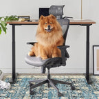 Anidaroel Home Office Chair Rug for Hardwood Floor, 36"x48" Rolling Chair Protector, Computer Gaming Rug, Low Pile Carpet Floor Mat