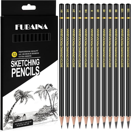 12 Pcs Drawing Sketching Pencil Set Professional (12b - 4h) Graphite Charcoal Gift Bulk for Artists Beginners, Pro Artists, Drawing Art, Sketching