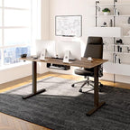 FLEXISPOT EN2 Whole-Piece Standing Desk with Clamp Power Strip, 48 x 24 Electric Stand Up Height Adjustable Desk with Cable Management (Black Frame + 48" Black Walnut Desktop, 2 Packages)
