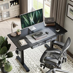 Agilestic Standing Desk with 2 Drawers, Adjustable Height Electric Desk with Storage, 48 x 24 Inches Sit Stand Up Computer Table for Work Office Home, Black