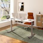 FLEXISPOT EN2 Whole-Piece Standing Desk with Clamp Power Strip, 55 x 28 Electric Stand Up Height Adjustable Desk with Cable Management (Gray Frame + 55" White Top, 2 Packages)