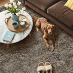 GENIMO 8x10 Area Rug Machine Washable Boho Rug for Living Room,Ultra-Thin Low Pile Carpet,Lightweight Indoor Printed Rug,Non Slip Floral Area Rug for Bedroom, Dining Room, Home Office,Brownish Green