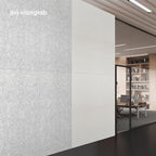 Olanglab Acoustic Wall Panels 10 Pack, 48 x 24 per Acoustic Panels Sound Absorbing, Sound Panels for Home Studio and Office, Plain White