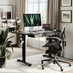 Agilestic Standing Desk with 2 Drawers, Adjustable Height Electric Desk with Storage, 48 x 24 Inches Sit Stand Up Computer Table for Work Office Home, Black