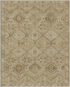 GENIMO Area Rug 2x3 Doormat, Machine Washable Low Pile Rugs, Small Retro Entryway Mat for Entrance, Hallway, Kitchen and Corridor, Tan Brown