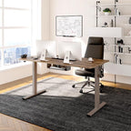 FLEXISPOT EN2 Whole-Piece Standing Desk with Clamp Power Strip, 48 x 30 Electric Stand Up Height Adjustable Desk with Cable Management (Gray Frame + 48" Black Walnut Desktop, 2 Packages)