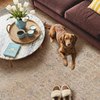 GENIMO 6x9 Area Rugs for Living Room, Machine Washable Non Slip Vintage Rugs, Low Pile Lightweight Chenille Print Rug for Bedroom, Dining Room, Home Office, Oatmeal Beige