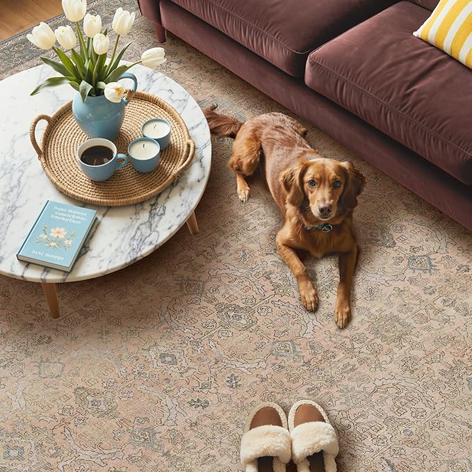 GENIMO 9x12 Area Rugs for Living Room, Machine Washable Non Slip Vintage Rugs, Low Pile Lightweight Chenille Print Rug for Bedroom, Dining Room, Home Office, Oatmeal Beige