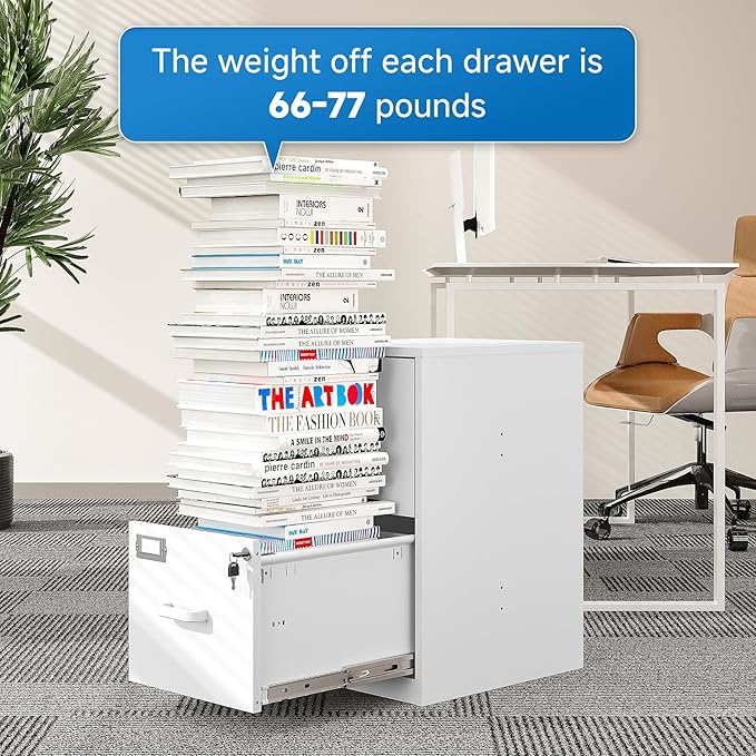 2 Drawer File Cabinet with Lock Vertical Filing Storage Office Home Steel Vertical File Cabinets for Letter Size File Cabinet Locked,Assembly Required